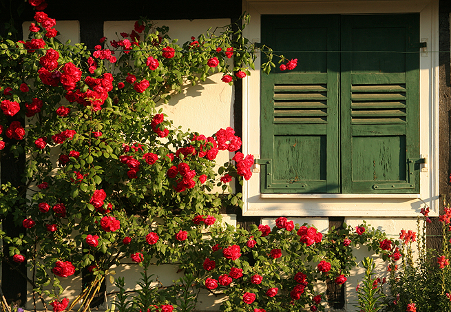 Arquivo/Casa e Jardim