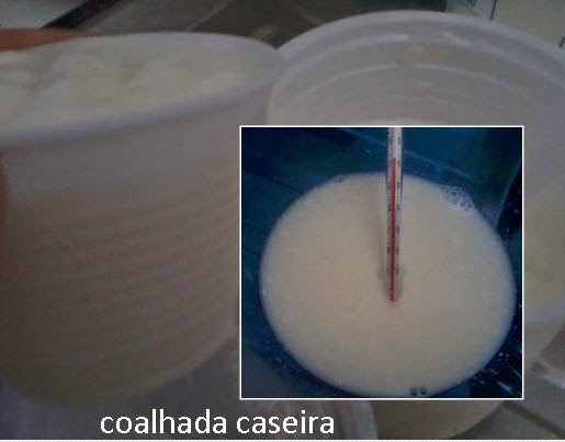 FAZER COALHADA receita caseira de outra coalhada