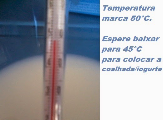 FAZER COALHADA receita caseira a partir de outra coalhada